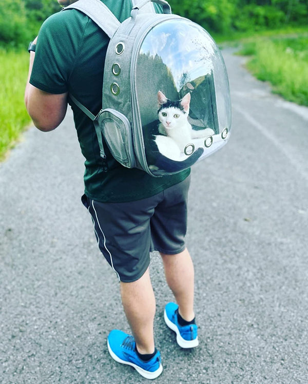 ⭐️⭐️⭐️⭐️⭐️Loved By 10,000+ Happy Pet Owners