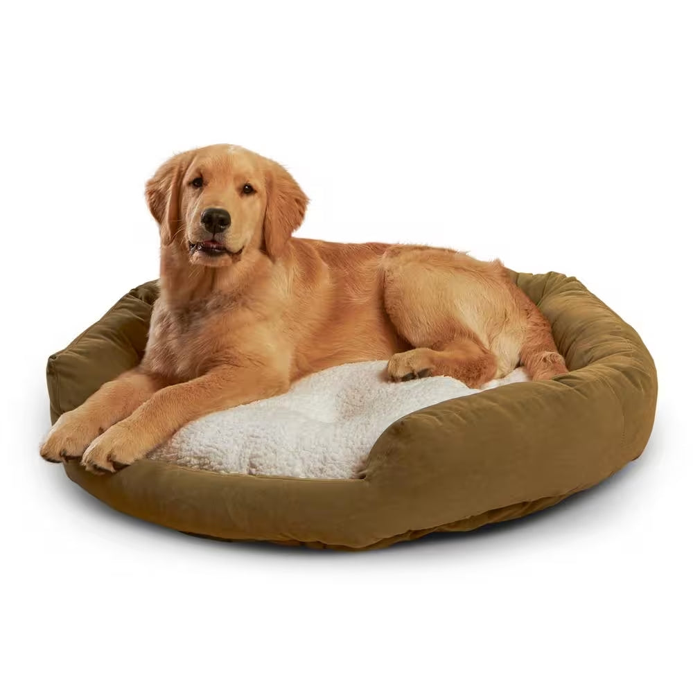 CozyTails Comfort Beds 😴