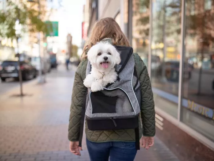 PetJet™ Travel