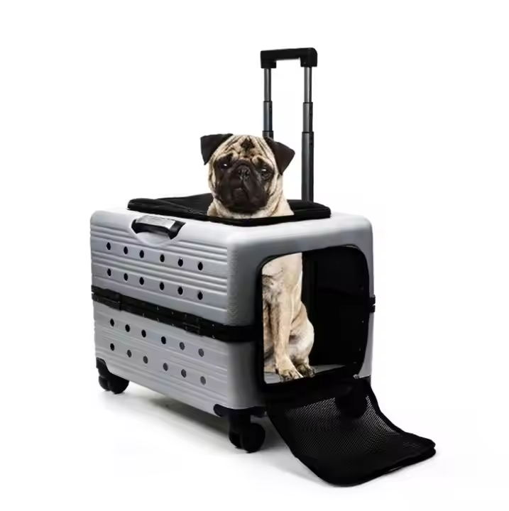 PetJet Travel Gear ✈️