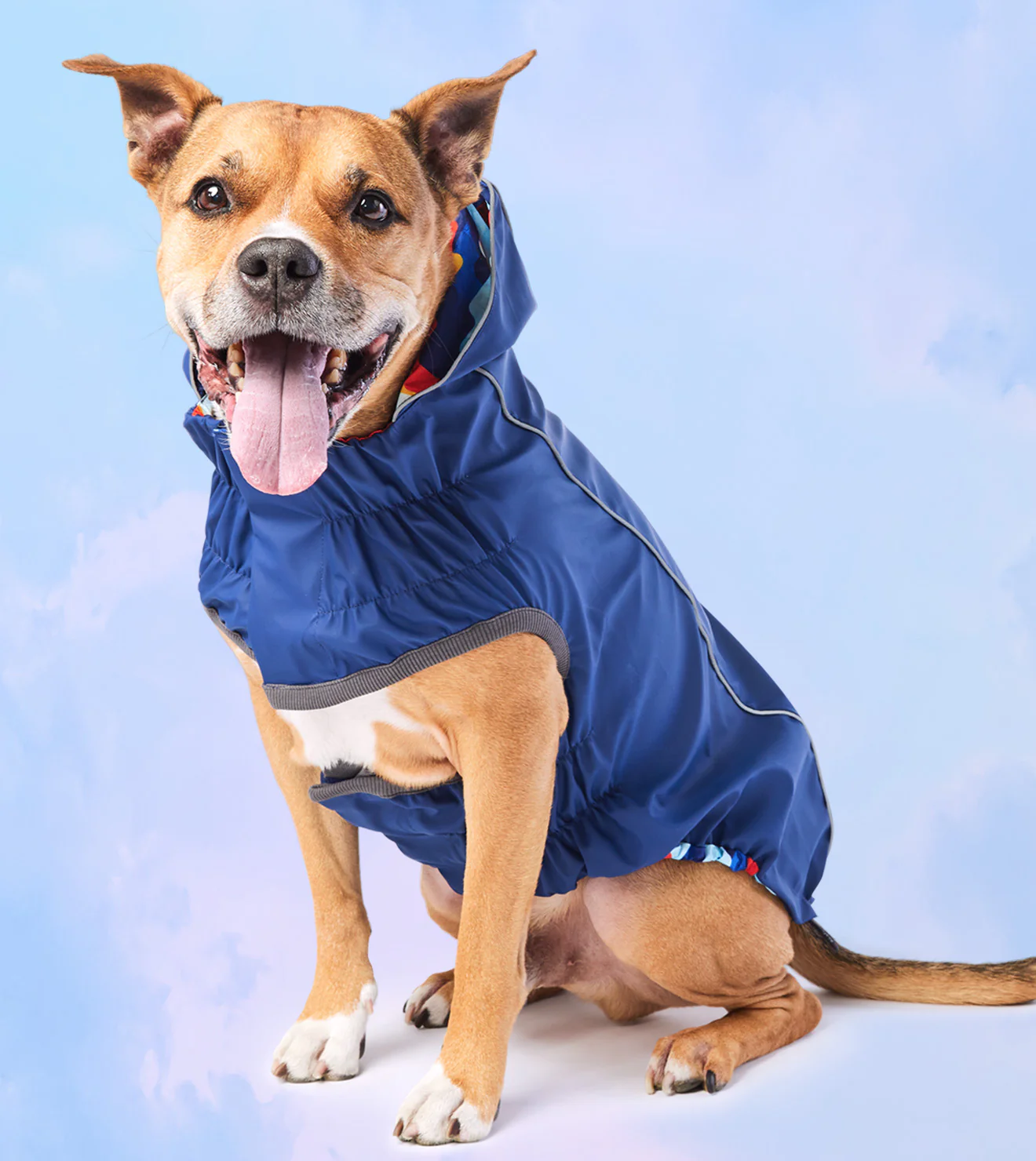 PawDrobe™ Apparel