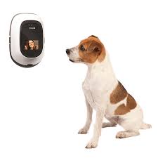 PetTech Smart Gadgets ⚡