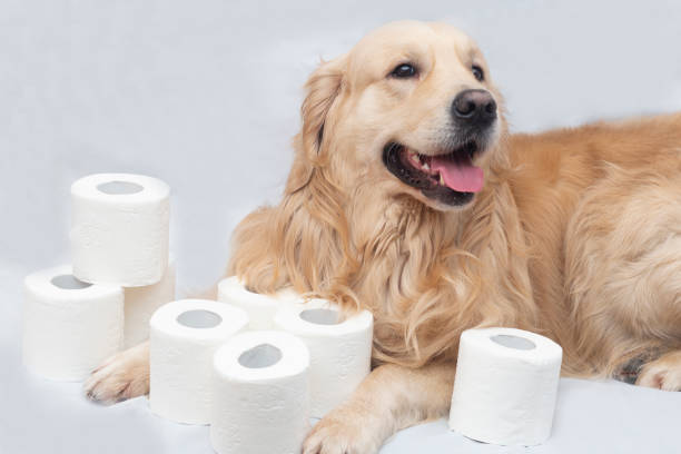 FreshPaws™ Cleaning