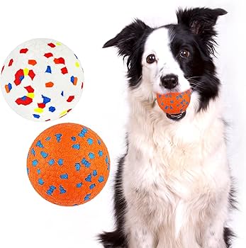 PlayPaws Toys & Fun 🐾