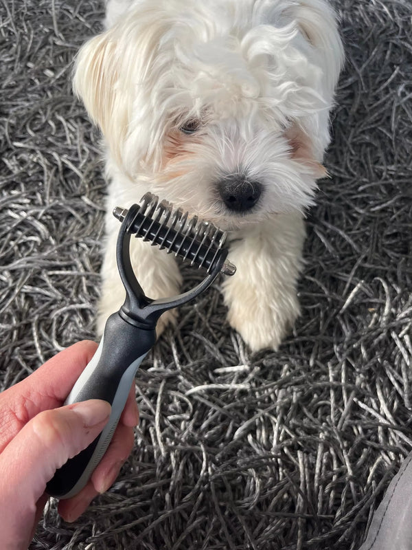 ⭐️⭐️⭐️⭐️⭐️Trusted by Thousands, Loved by Pets