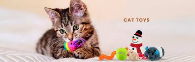 Toy & Playtime