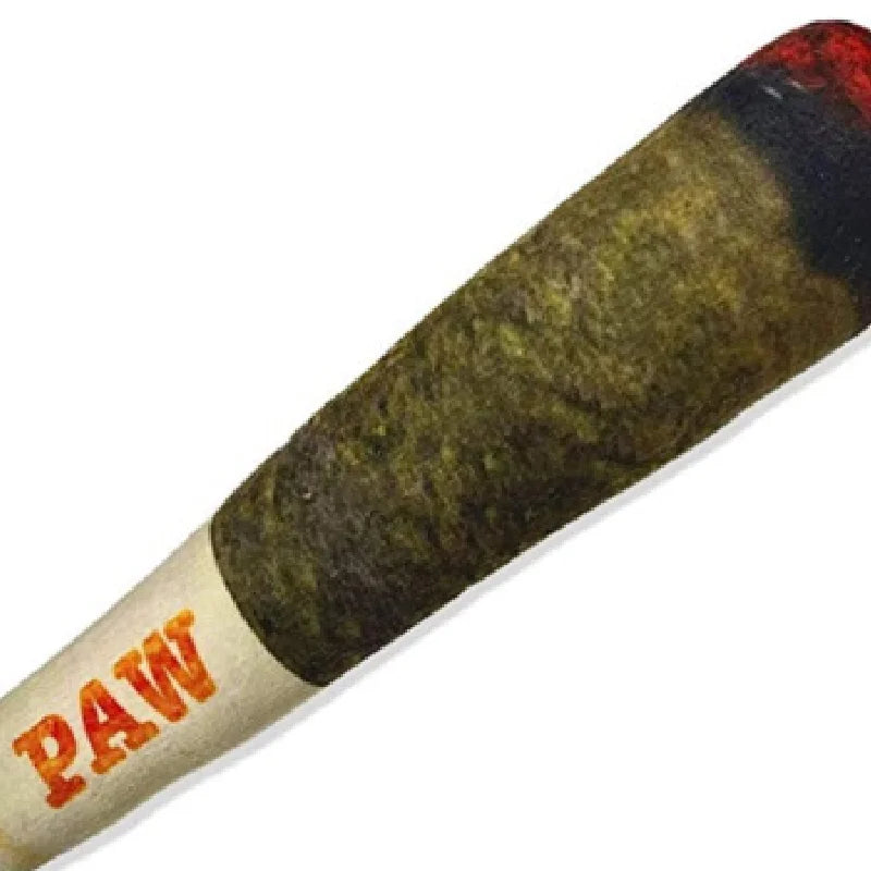 ChewBuddy™ Simulation Squeaky Dog Cigar