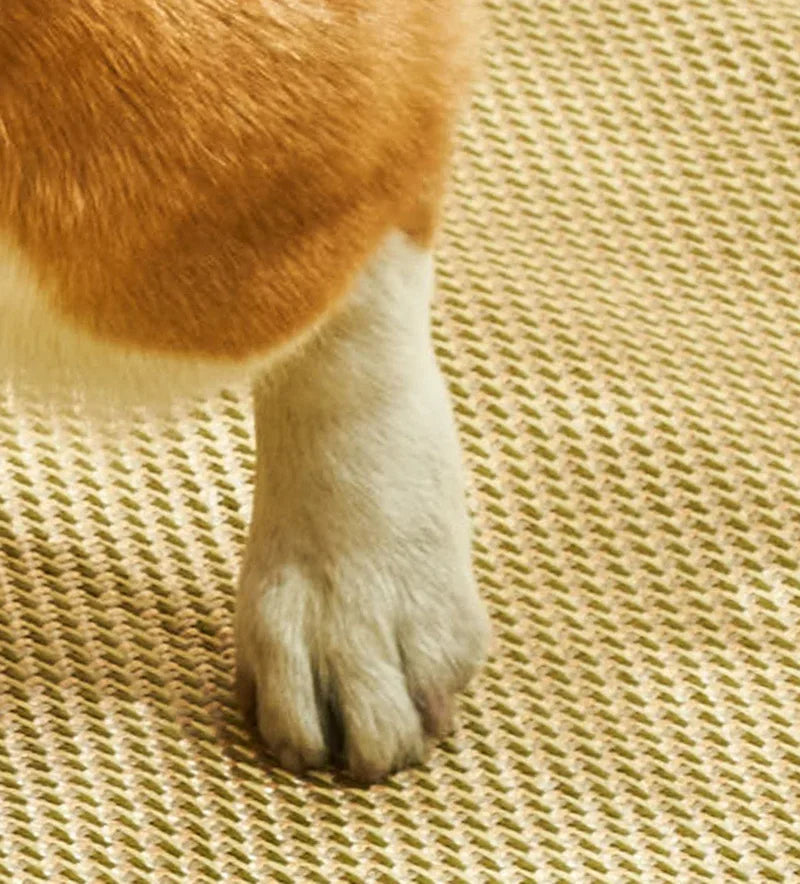 FrostyPaws™ - Summer Cooling Mat