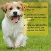 FleaRx™ - Anti Flea Drops Insect Repellent Treatment