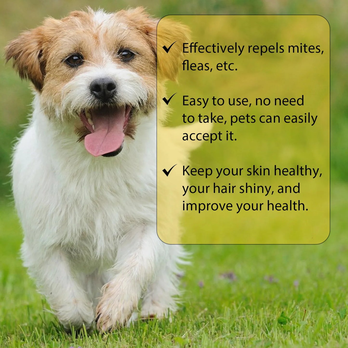 FleaRx™ - Anti Flea Drops Insect Repellent Treatment