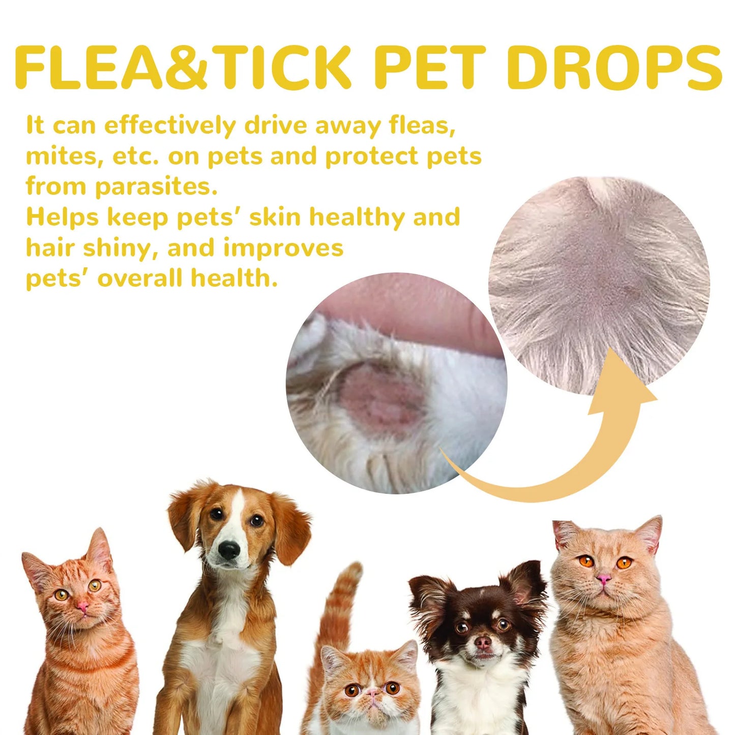 FleaRx™ - Anti Flea Drops Insect Repellent Treatment