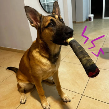 ChewBuddy™ Simulation Squeaky Dog Cigar
