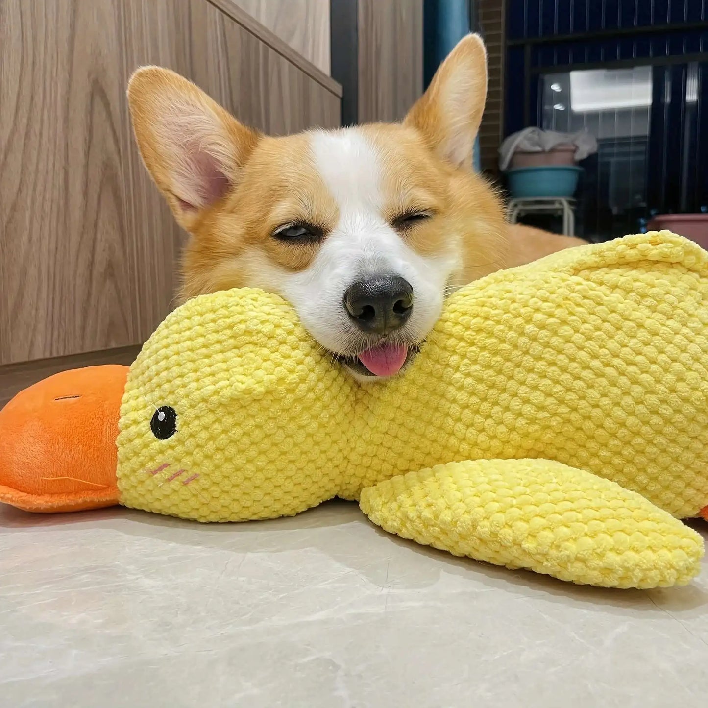 ChompQuack™ - Interactive Dog Toy Stomping Duck Bite