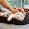 BaskiPaws™ - Pets Basket Bed