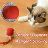 WiggiBall™ - Interactive Pet Toy Ball