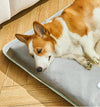 FrostyPaws™ - Summer Cooling Mat