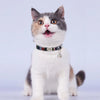 Velora™ - Personalized Engraved Nylon Cat Collar