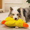 ChompQuack™ - Interactive Dog Toy Stomping Duck Bite