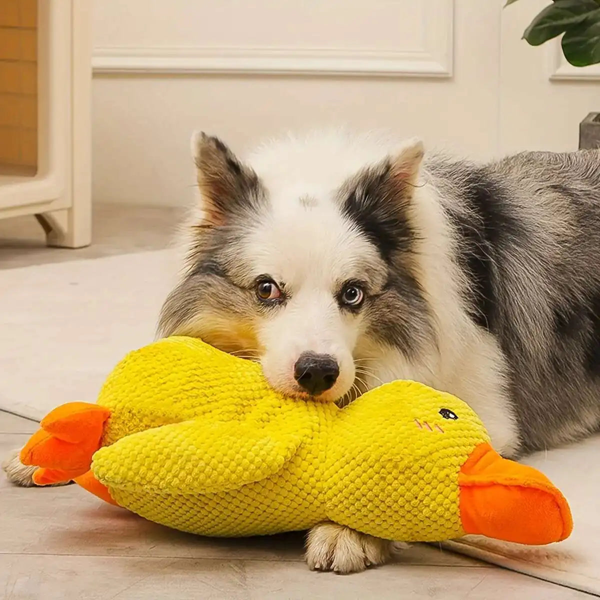 ChompQuack™ - Interactive Dog Toy Stomping Duck Bite