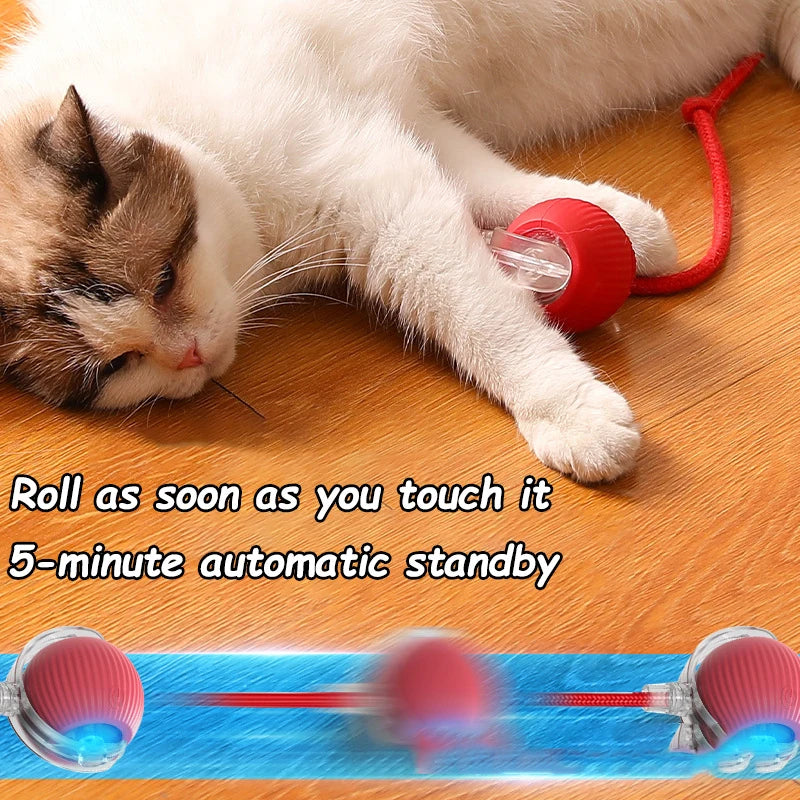 WiggiBall™ - Interactive Pet Toy Ball