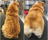 FurWizard™ Spray Comb