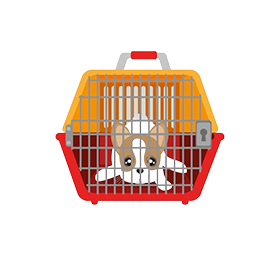 Travel & Carriers